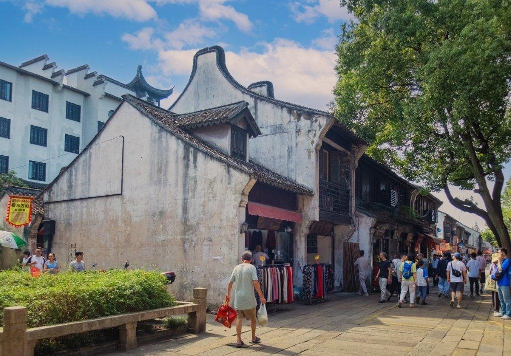 顶流来了！看白雪松如何把博物馆冷知识变城市热文化